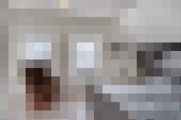 Dijkwelsestraat 1 Kapelle thumbnail 31