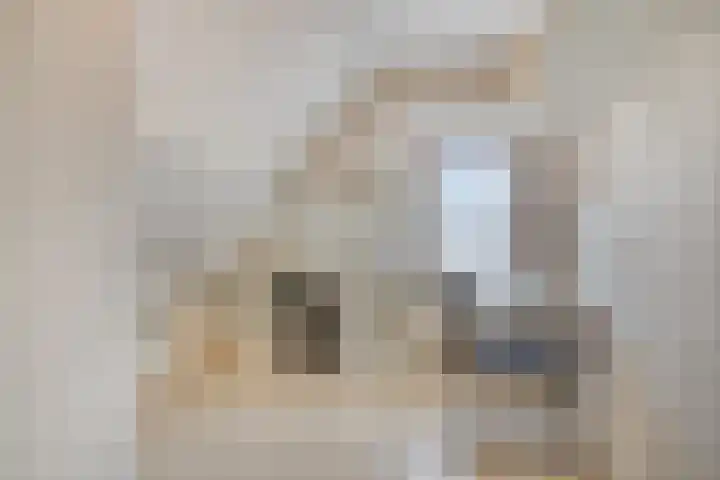 Dijkwelsestraat 1 Kapelle thumbnail 33