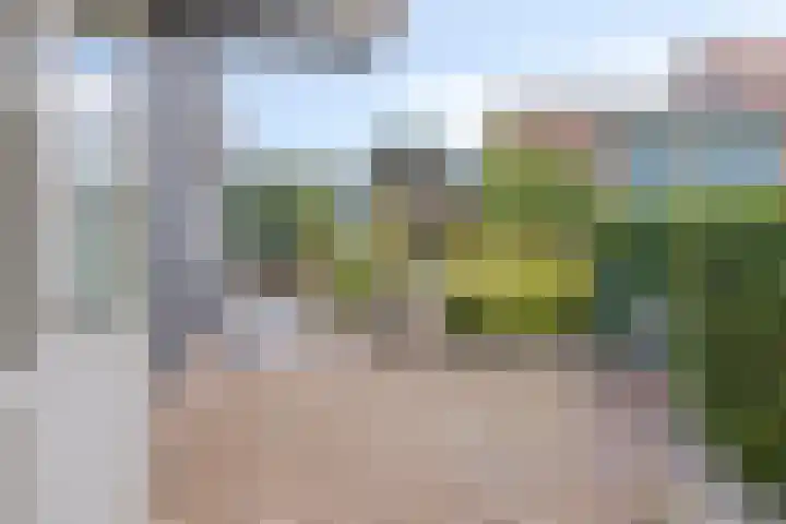 Dijkwelsestraat 1 Kapelle thumbnail 5