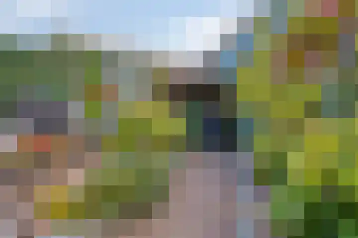 Dijkwelsestraat 1 Kapelle thumbnail 7
