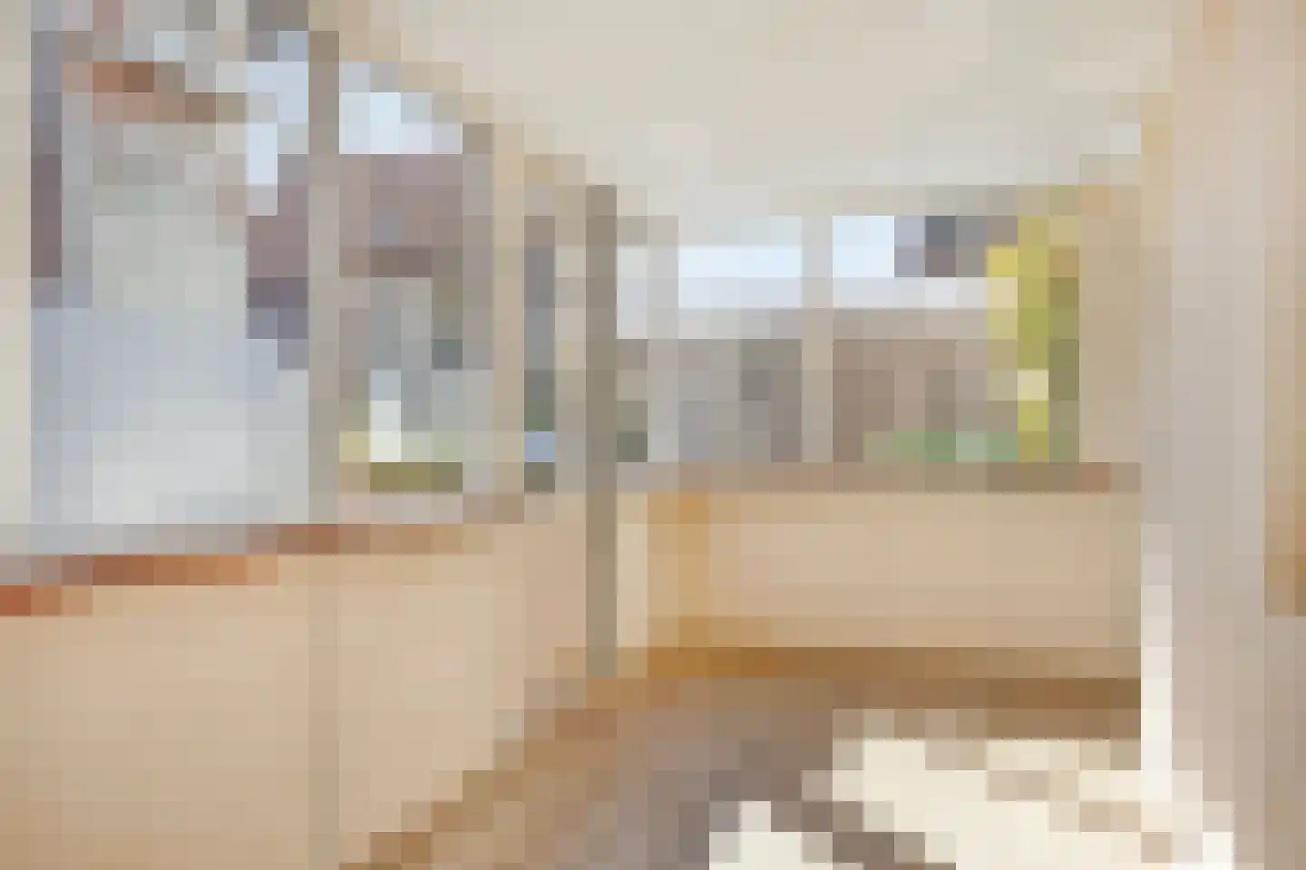 Dijkwelsestraat 35 Kapelle thumbnail 18