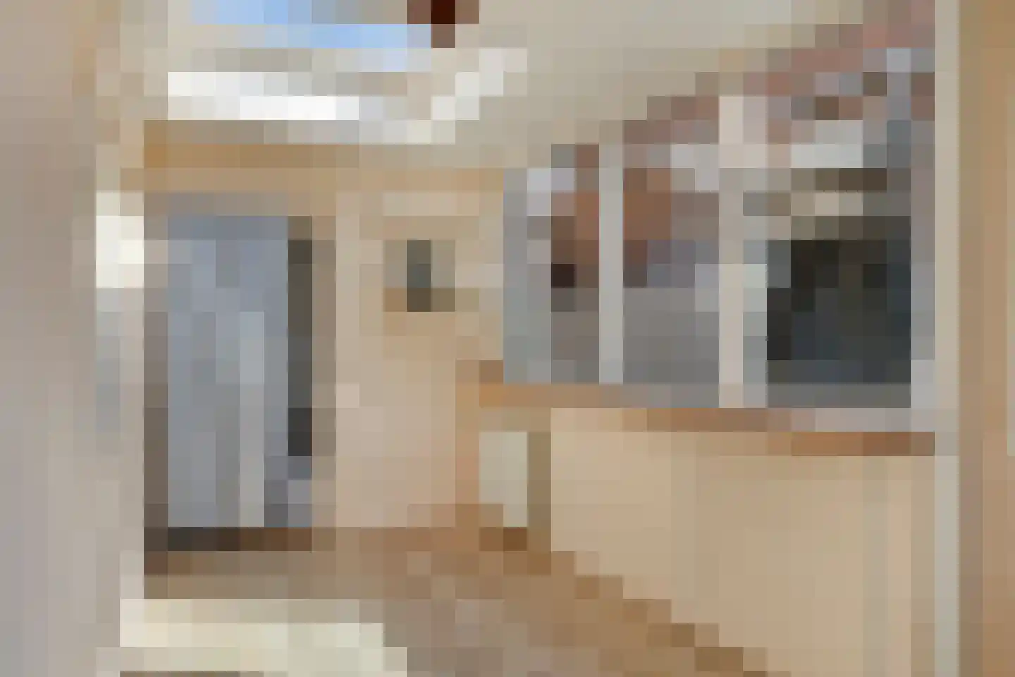 Dijkwelsestraat 35 Kapelle thumbnail 19