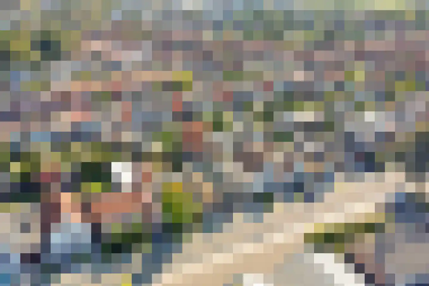 Dijkwelsestraat 35 Kapelle thumbnail 4