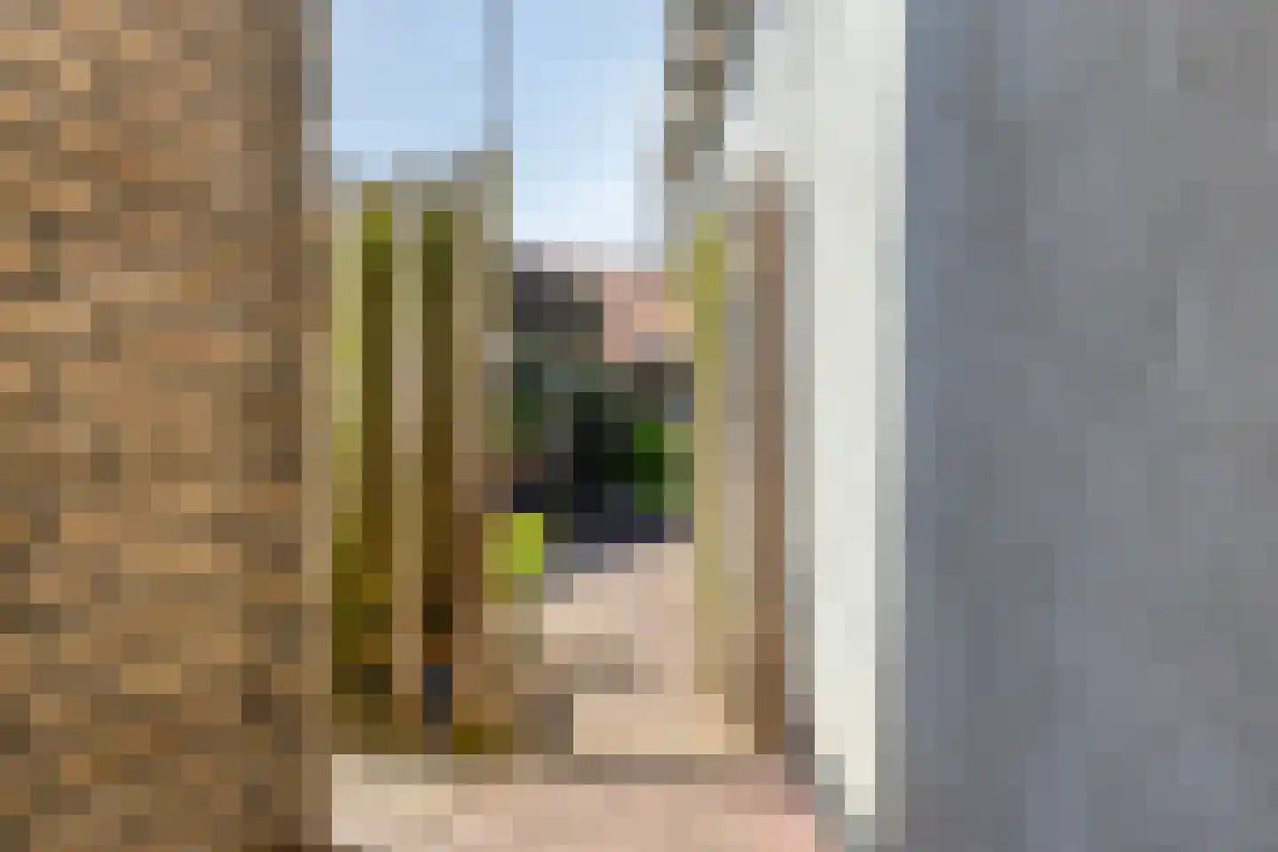 Dijkwelsestraat 4 Kapelle thumbnail 11