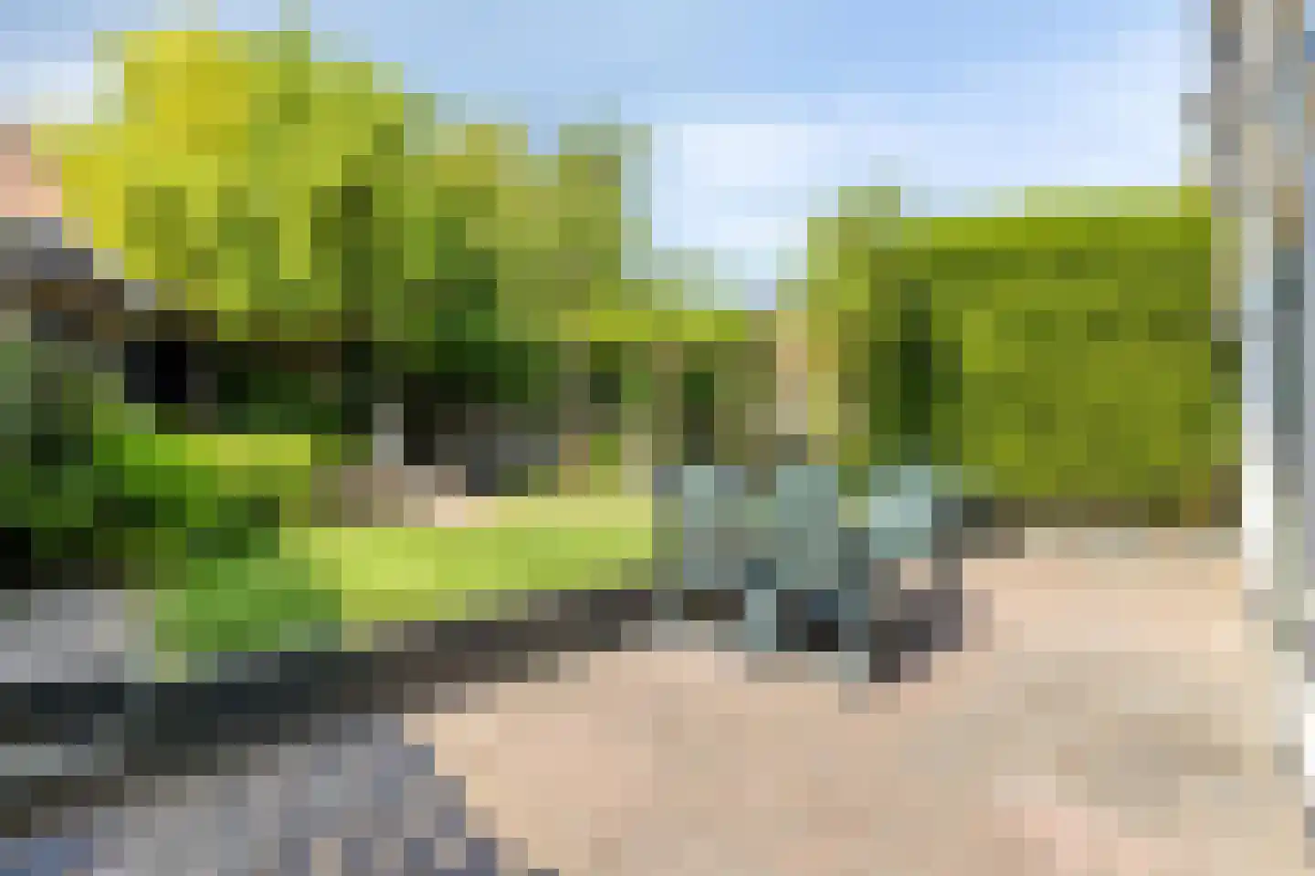 Dijkwelsestraat 4 Kapelle thumbnail 12