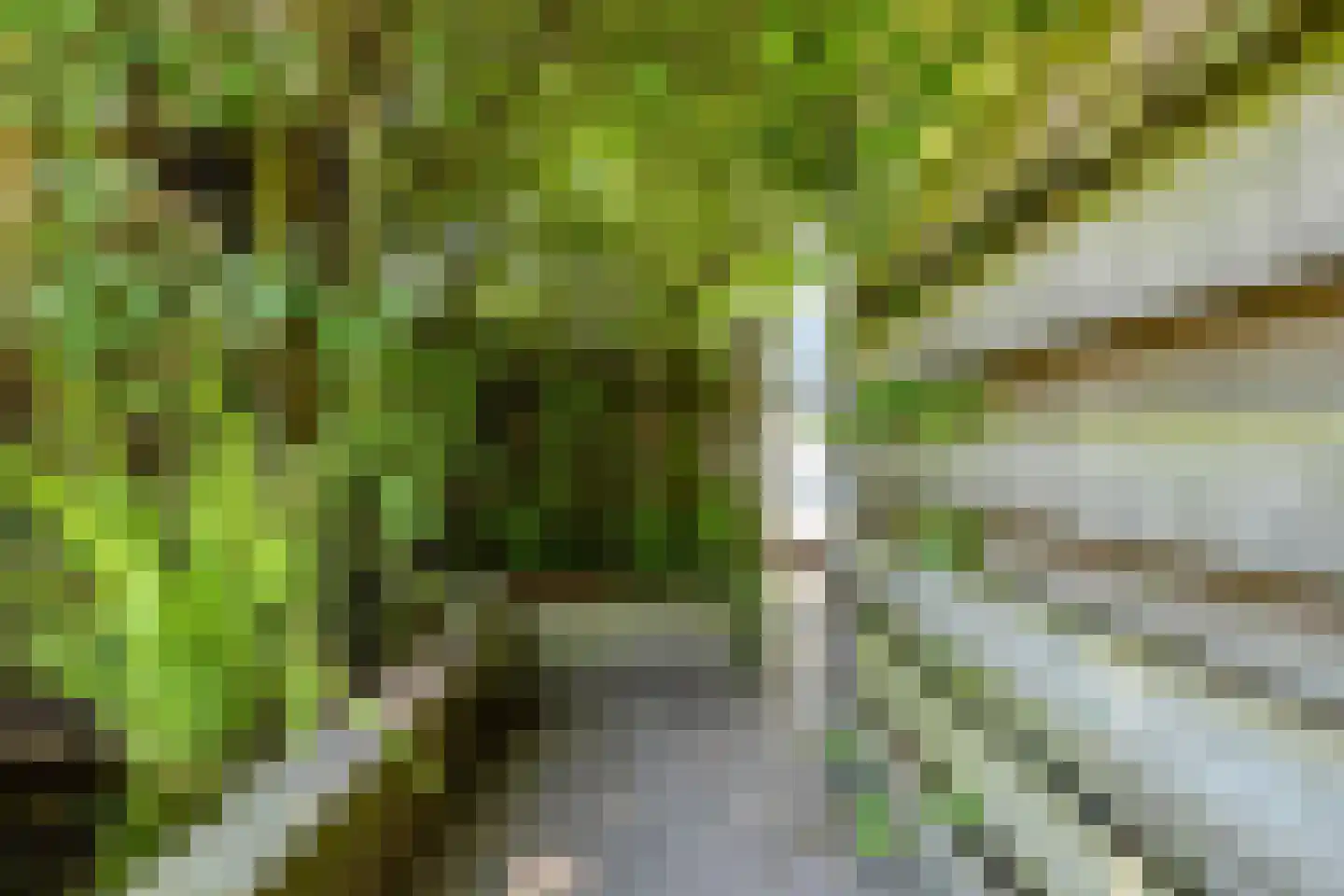 Dijkwelsestraat 4 Kapelle thumbnail 14