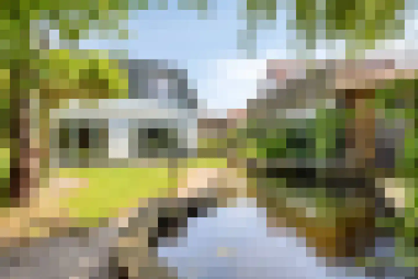 Dijkwelsestraat 4 Kapelle thumbnail 15