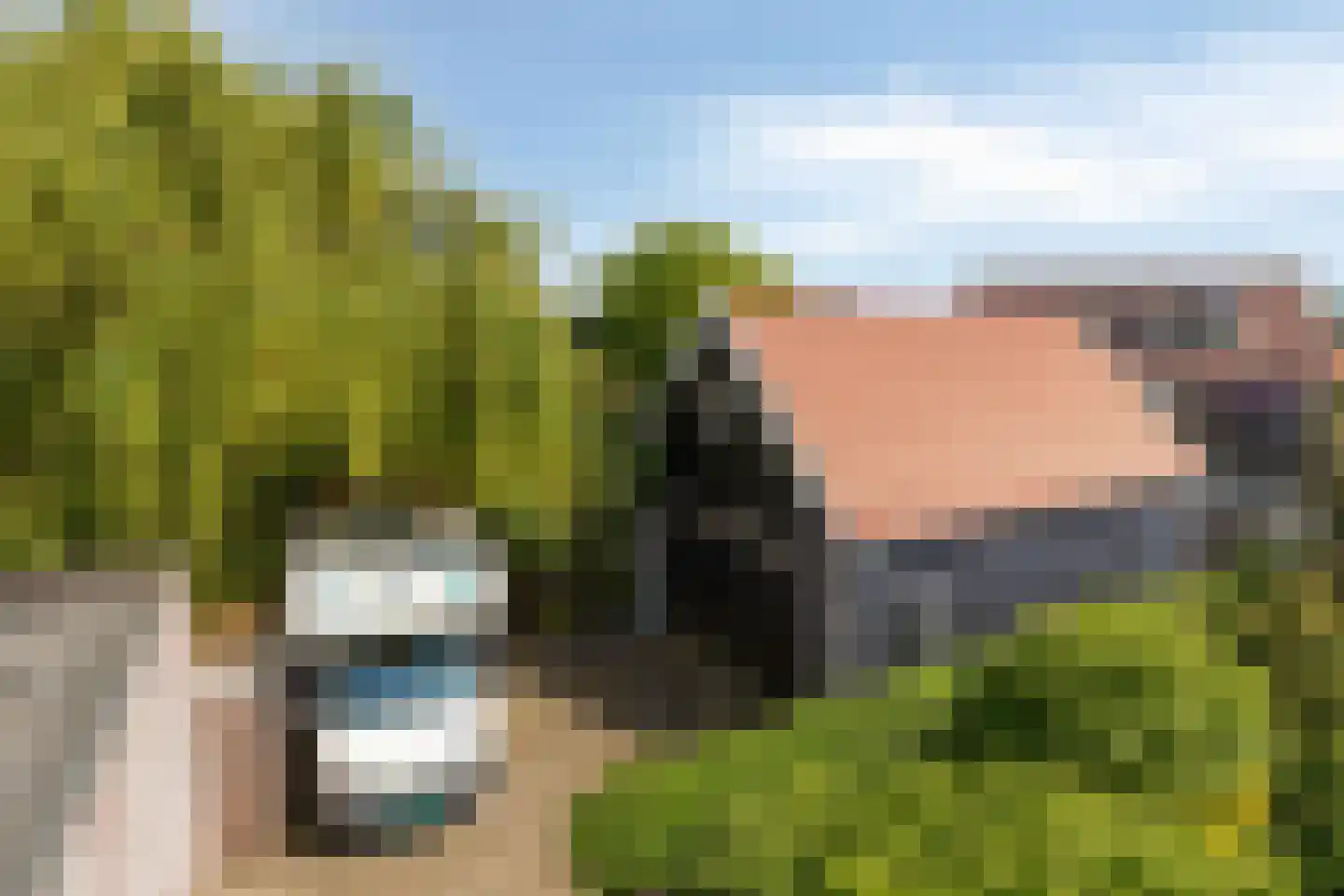 Dijkwelsestraat 4 Kapelle thumbnail 17