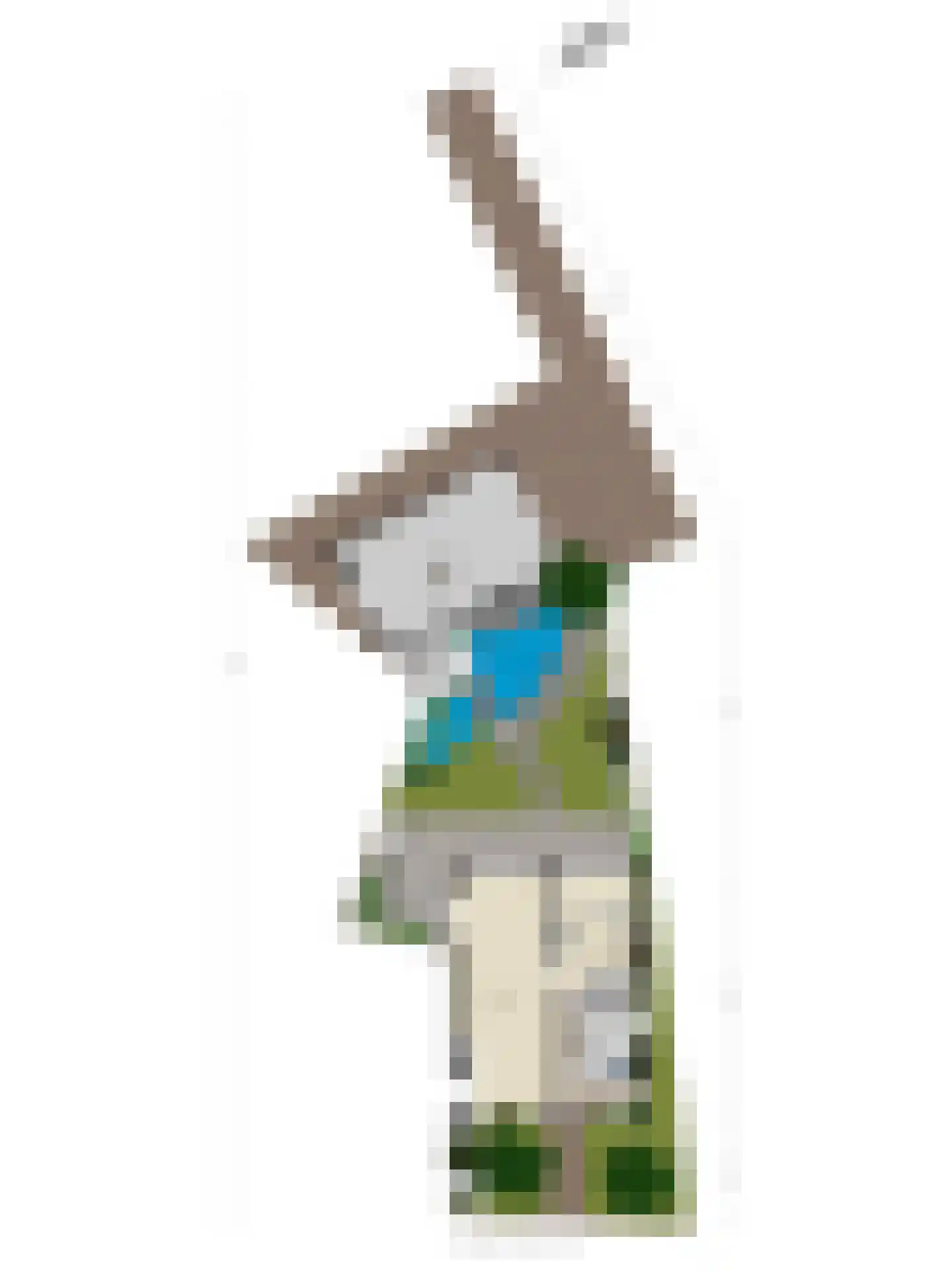 Dijkwelsestraat 4 Kapelle thumbnail 37