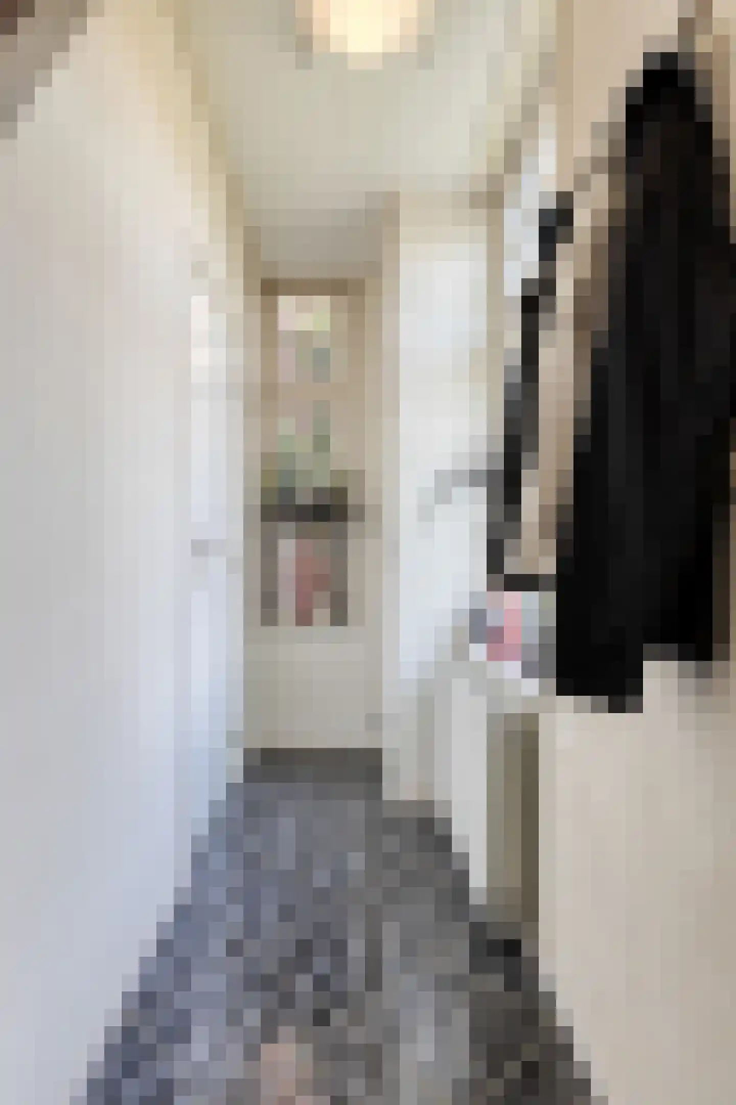 Dijkwelsestraat 4 Kapelle thumbnail 38