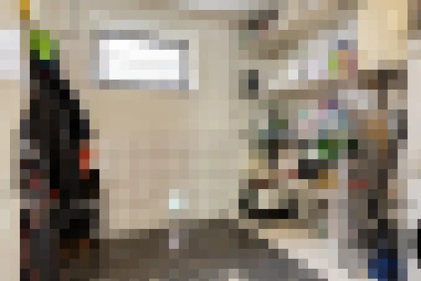 Dijkwelsestraat 4 Kapelle thumbnail 40