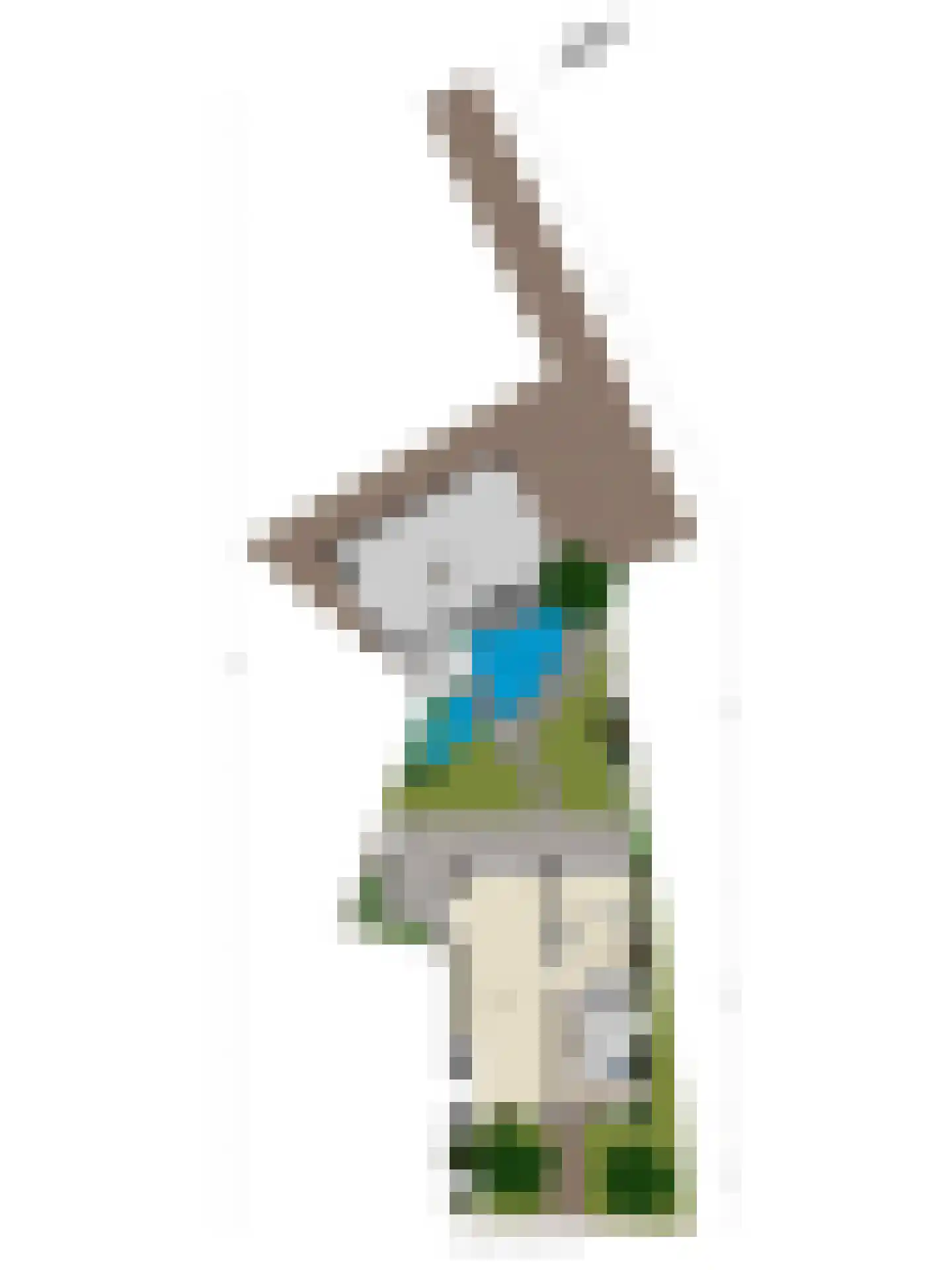 Dijkwelsestraat 4 Kapelle thumbnail 6