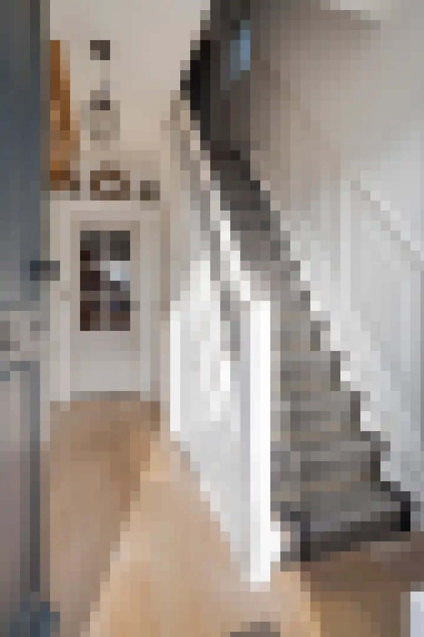 Dijkwelsestraat 62 Kapelle thumbnail 17