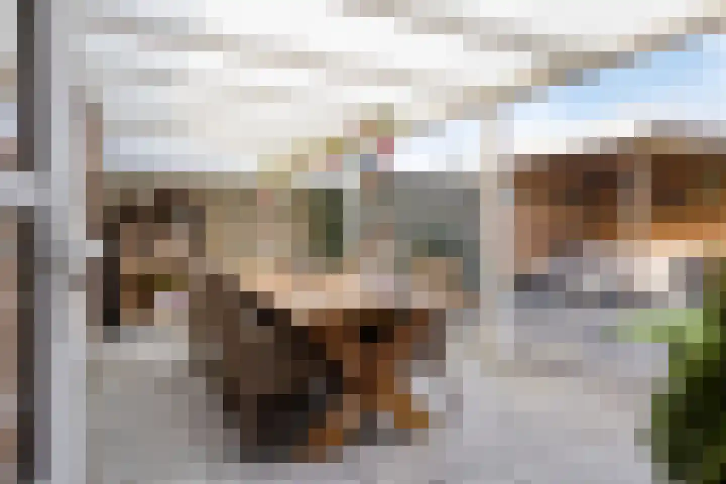 Dijkwelsestraat 62 Kapelle thumbnail 34