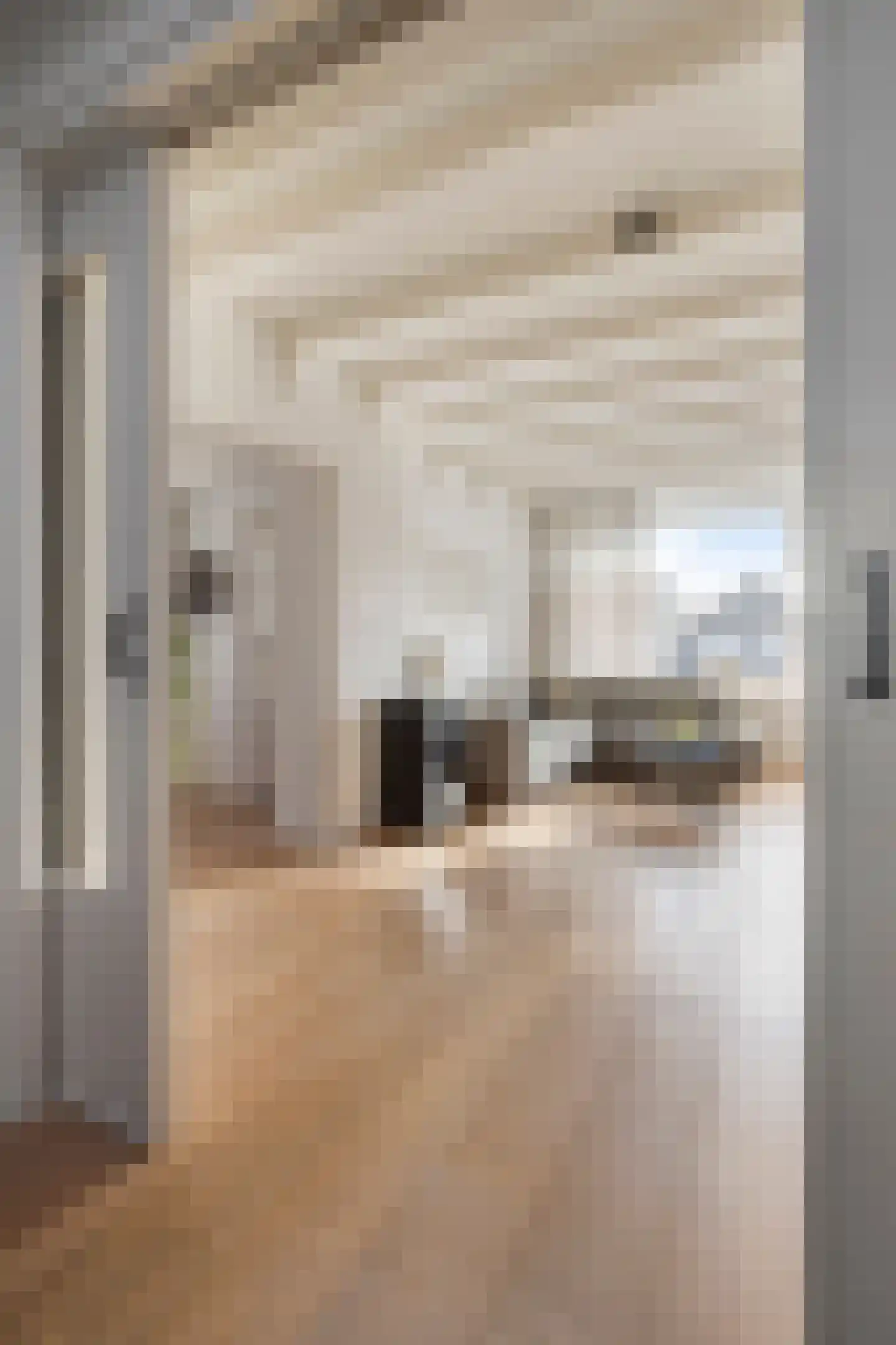 Dijkwelsestraat 62 Kapelle thumbnail 8