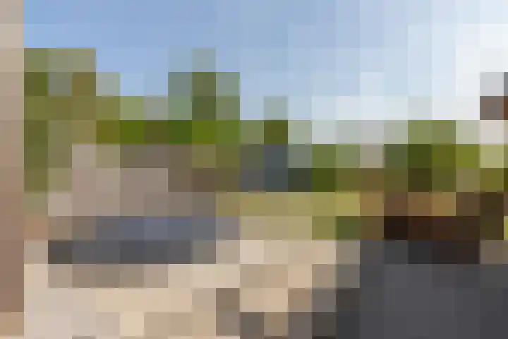 Dijkwelseweg 19 Kapelle thumbnail 15