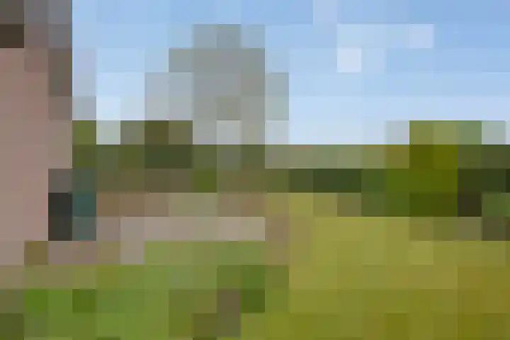 Dijkwelseweg 7 Kapelle thumbnail 13