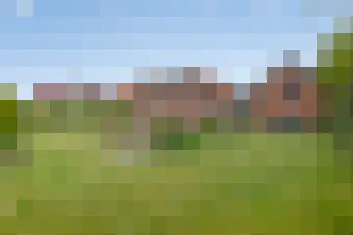 Dijkwelseweg 7 Kapelle thumbnail 14