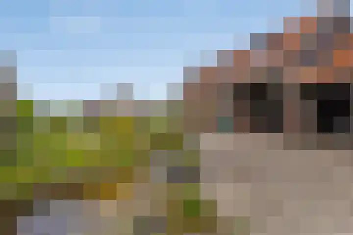 Dijkwelseweg 7 Kapelle thumbnail 7