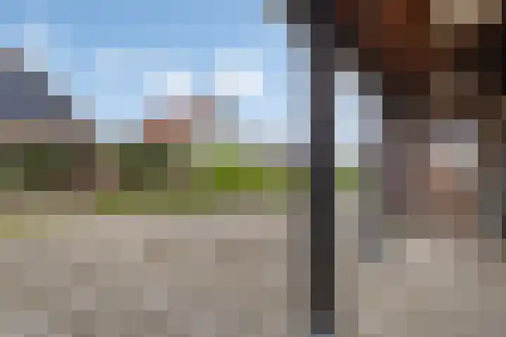 Dijkwelseweg 7 Kapelle thumbnail 8