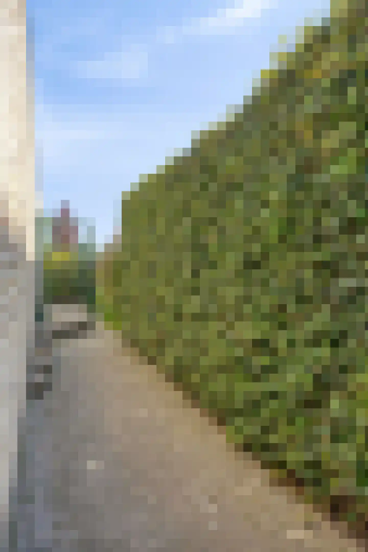 Dijkwelseweg 9 B Kapelle thumbnail 6