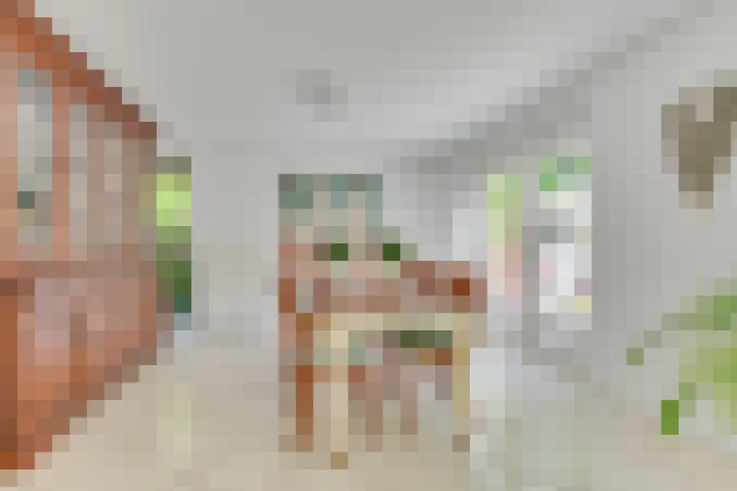 Dijkzicht 1 Heerhugowaard thumbnail 21