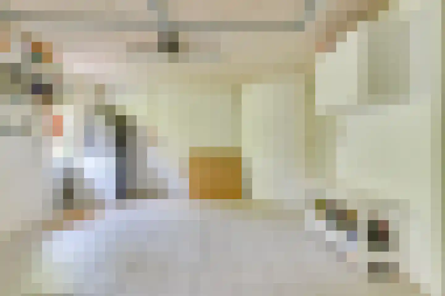 Dijkzicht 1 Heerhugowaard thumbnail 62