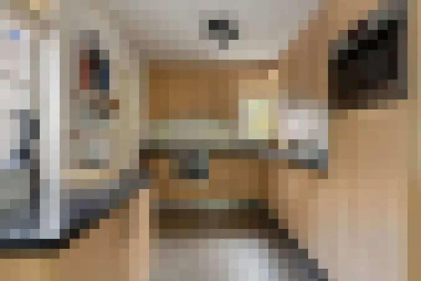 Dijkzicht 1 Noordgouwe thumbnail 19
