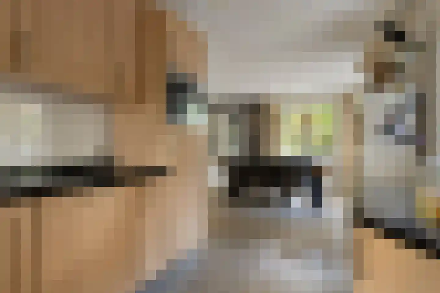 Dijkzicht 1 Noordgouwe thumbnail 20