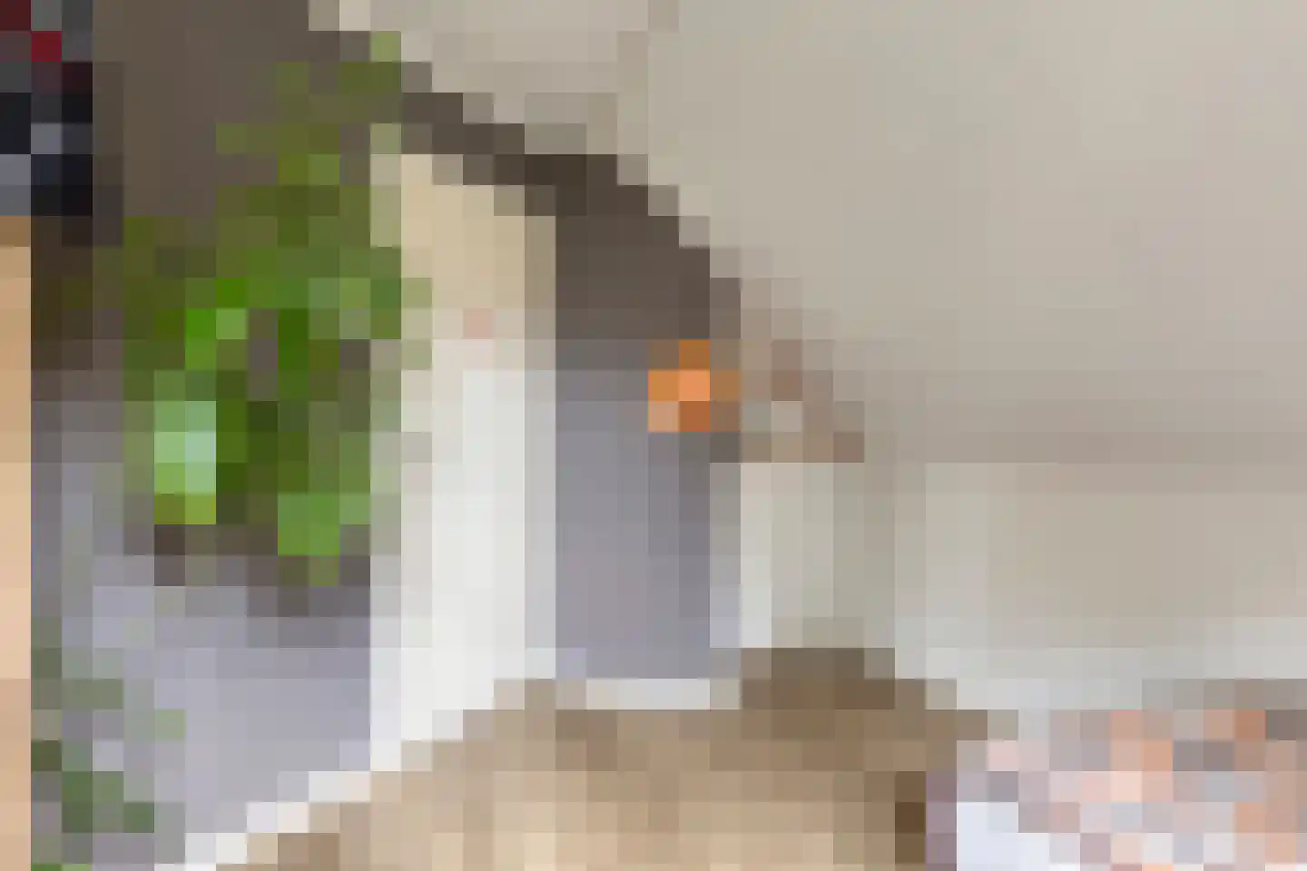 Dijkzicht 1 Noordgouwe thumbnail 27