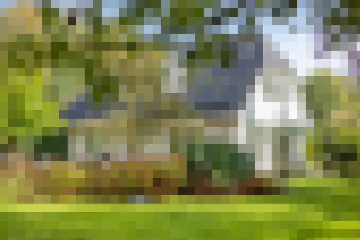Dijkzicht 1 Noordgouwe foto 3