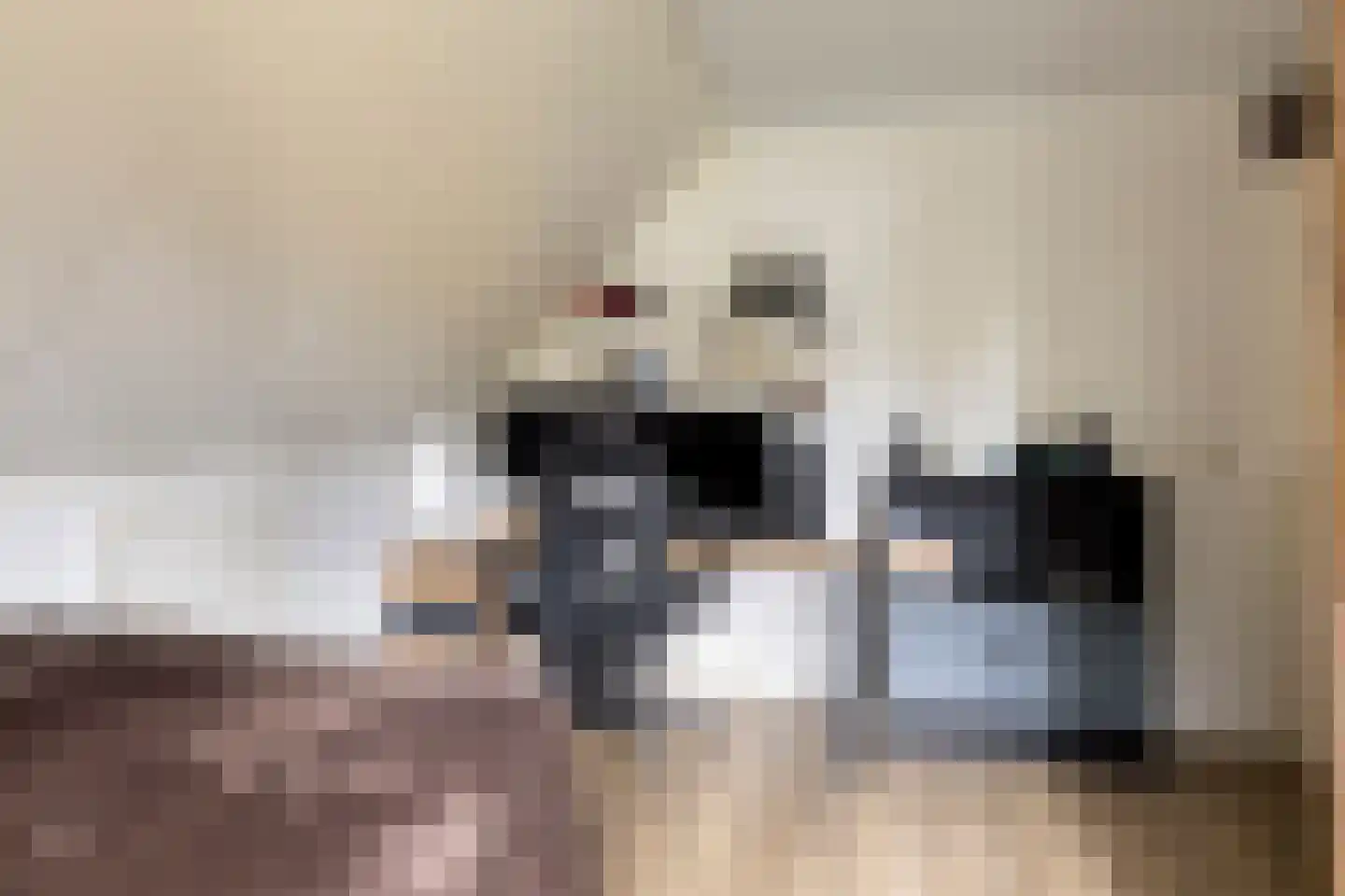 Dijkzicht 1 Noordgouwe thumbnail 31