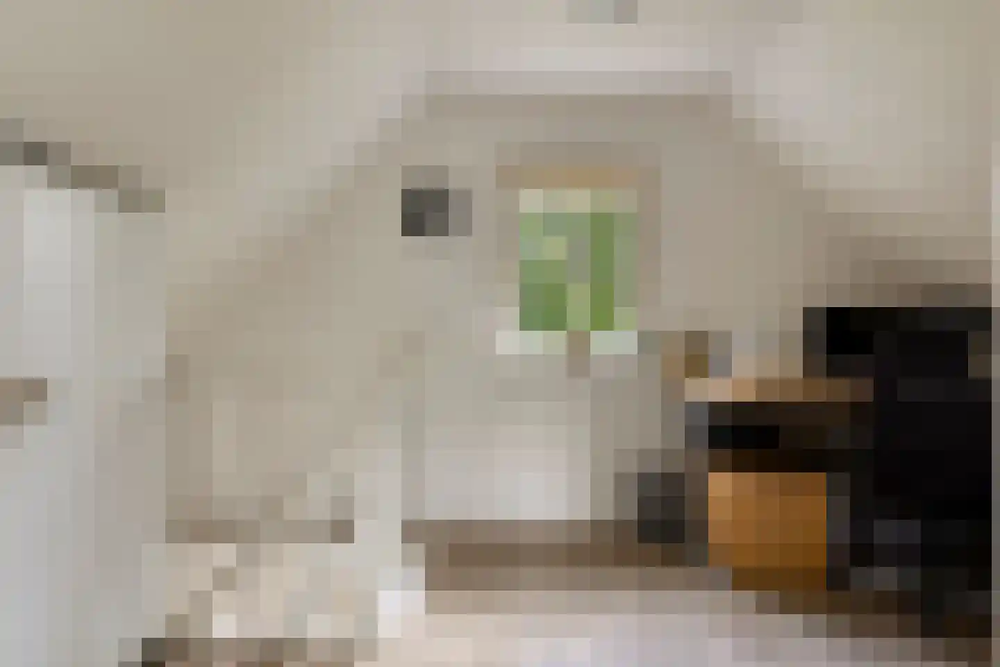Dijkzicht 1 Noordgouwe thumbnail 33
