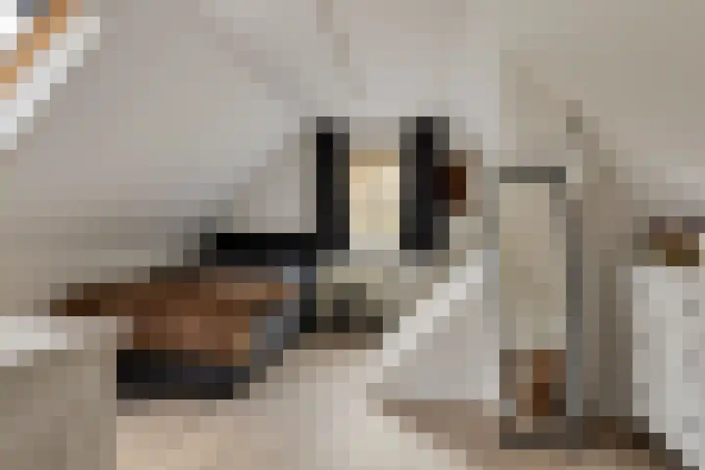 Dijkzicht 1 Noordgouwe thumbnail 35