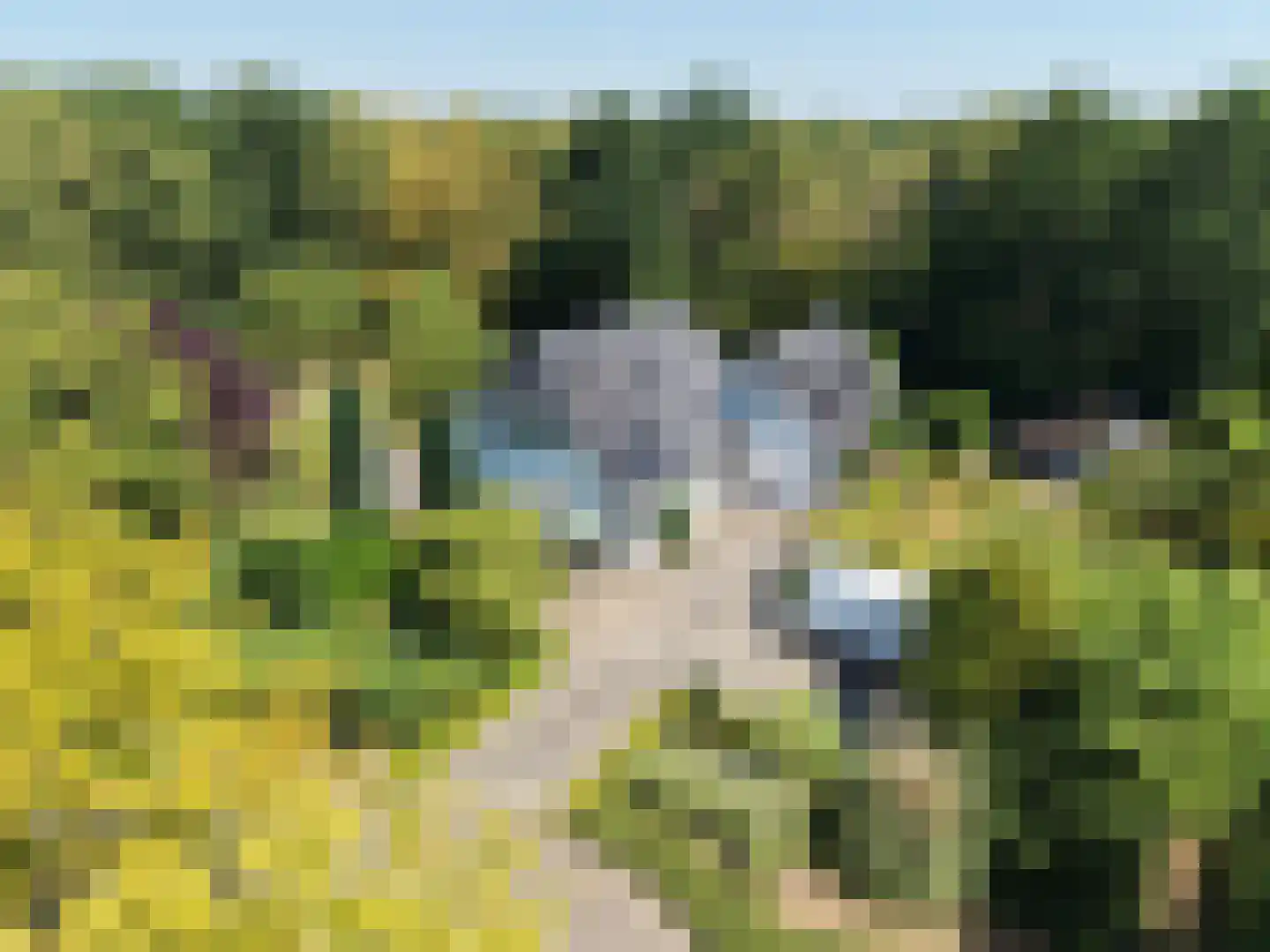 Dijkzicht 1 Noordgouwe thumbnail 4