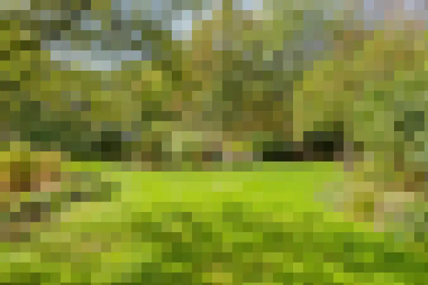 Dijkzicht 1 Noordgouwe thumbnail 41