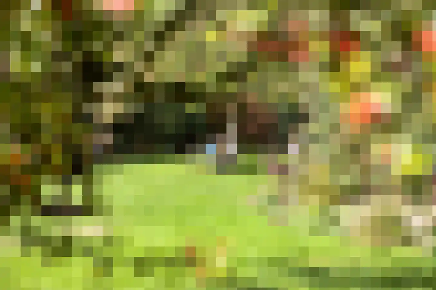 Dijkzicht 1 Noordgouwe thumbnail 44