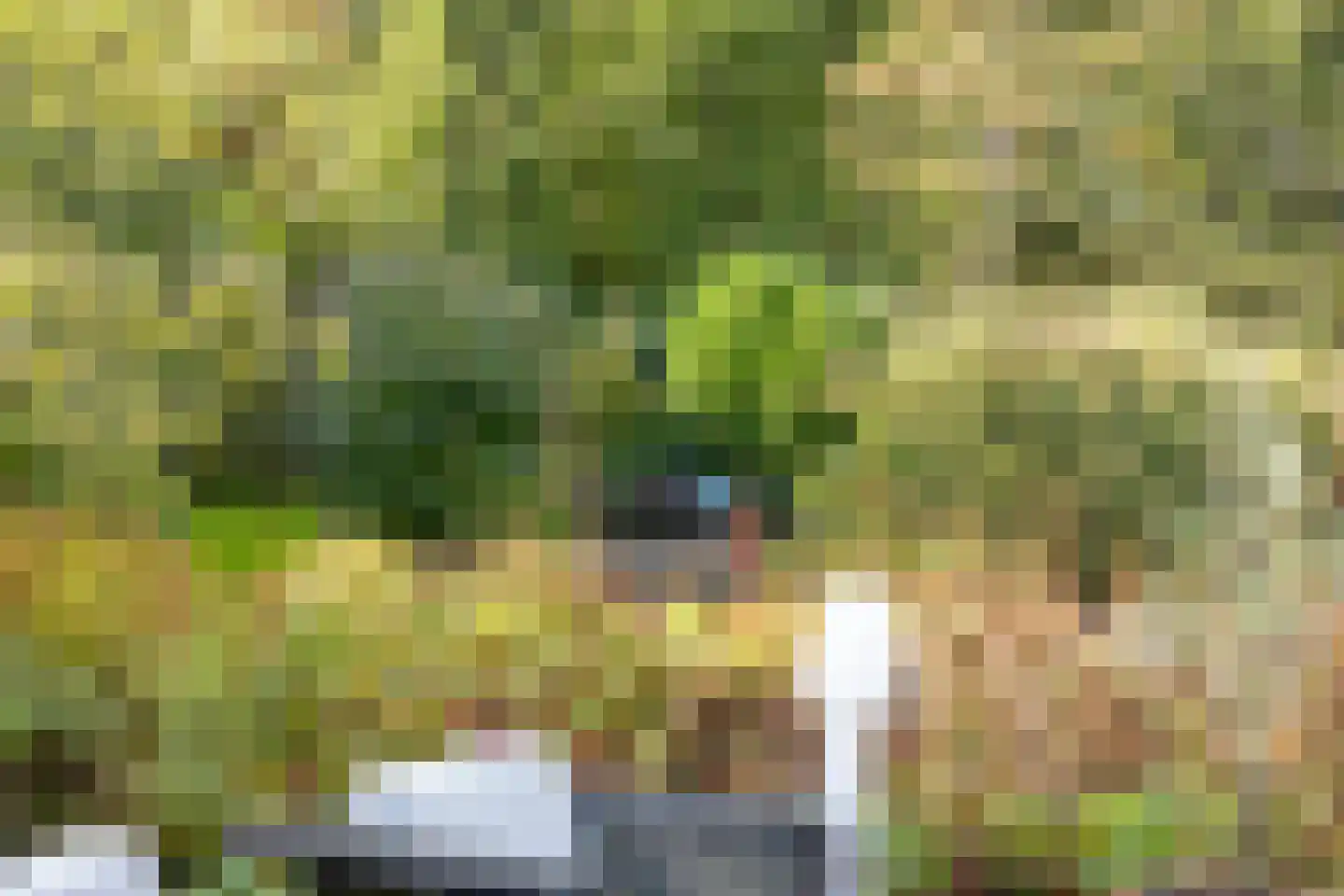 Dijkzicht 1 Noordgouwe thumbnail 45