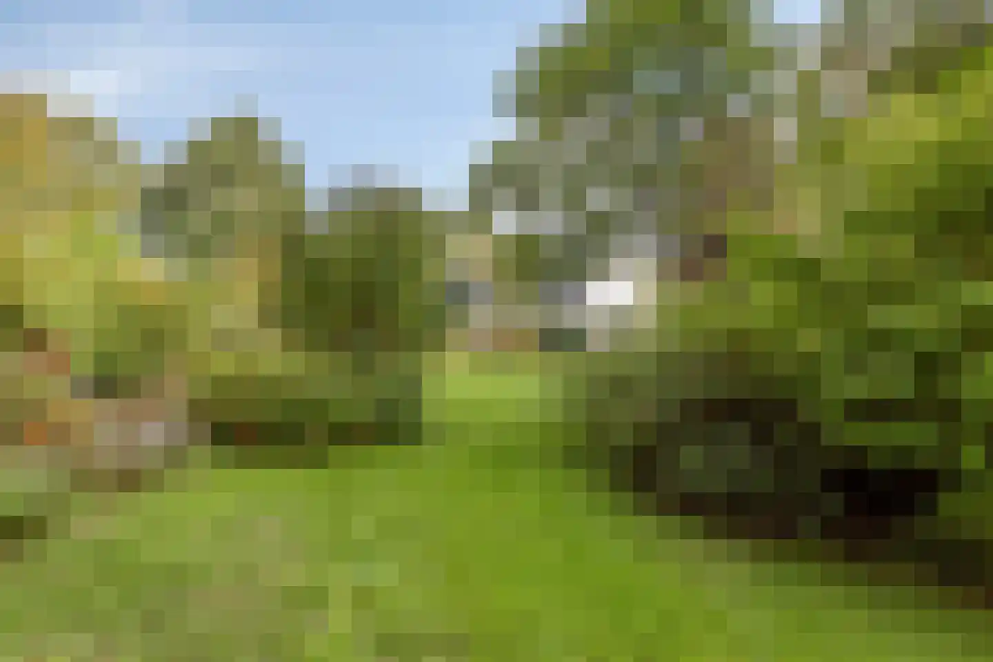 Dijkzicht 1 Noordgouwe thumbnail 46