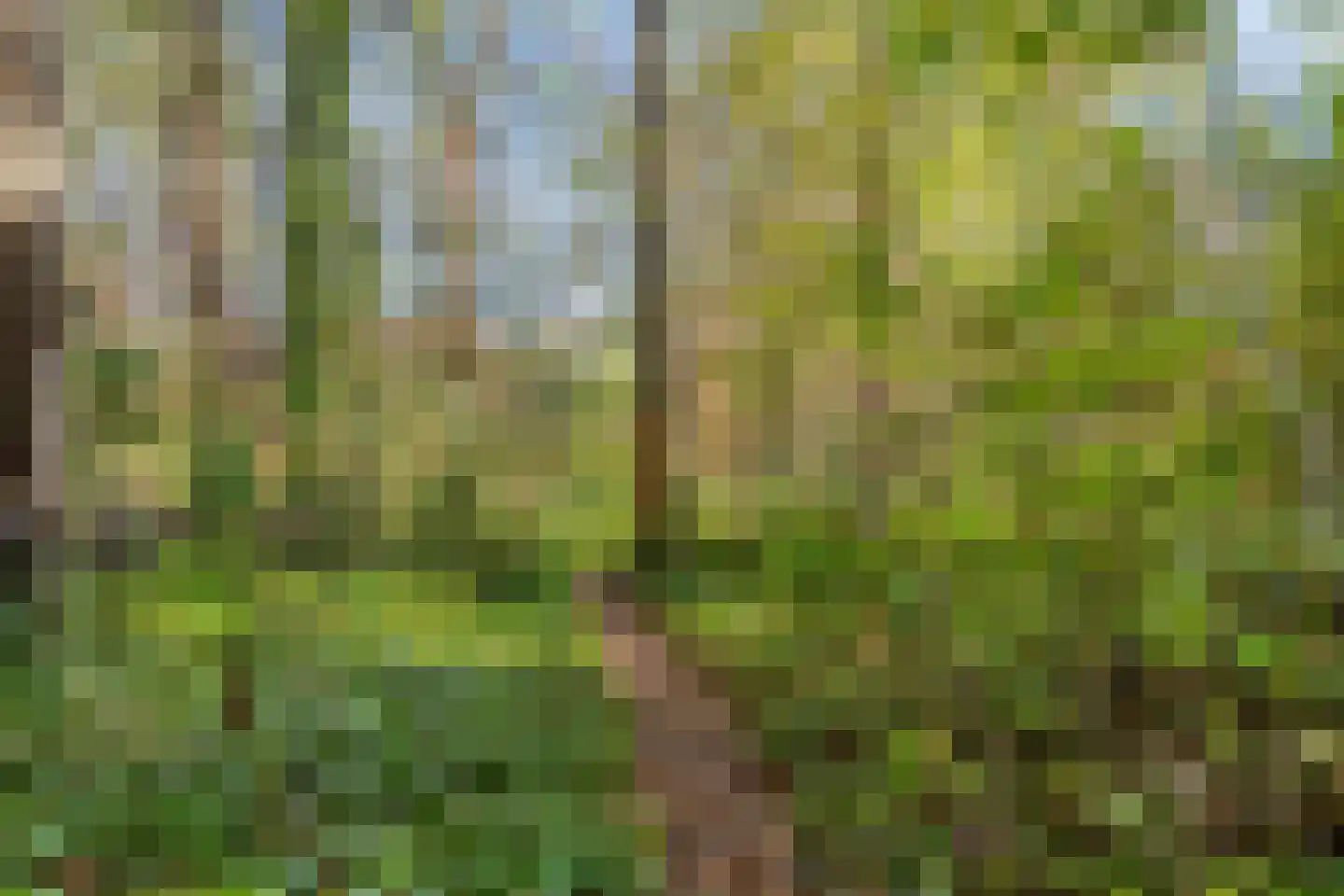 Dijkzicht 1 Noordgouwe thumbnail 47