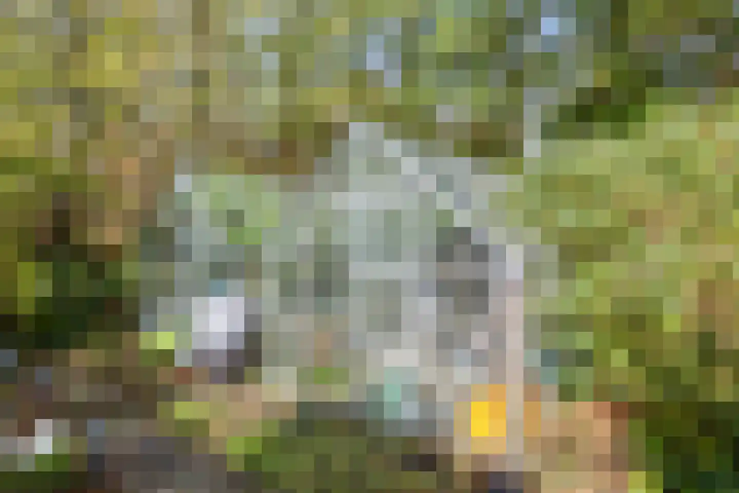 Dijkzicht 1 Noordgouwe thumbnail 48