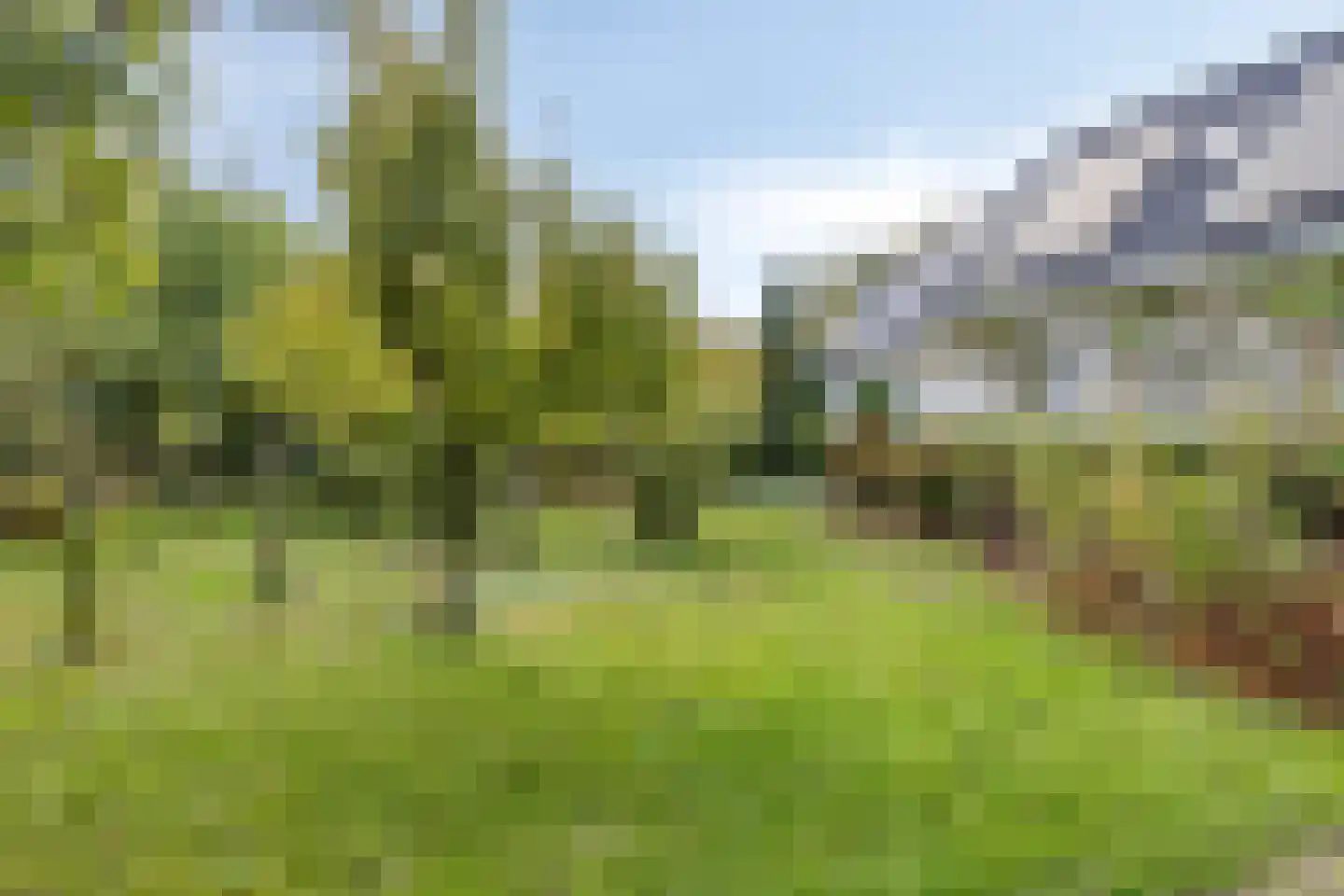 Dijkzicht 1 Noordgouwe thumbnail 49