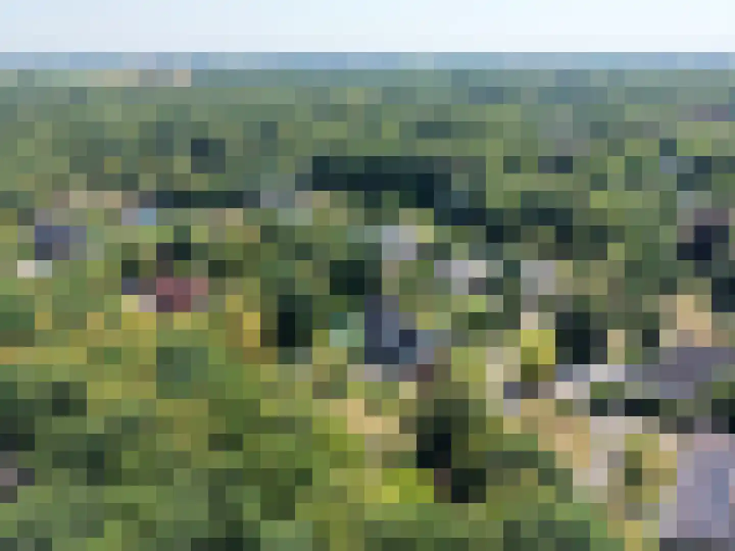 Dijkzicht 1 Noordgouwe thumbnail 51