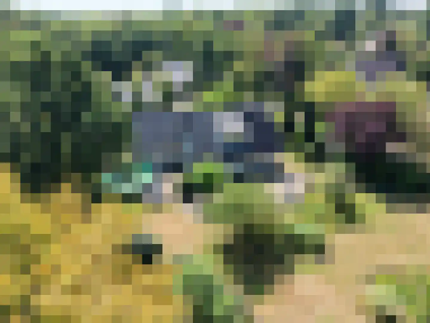 Dijkzicht 1 Noordgouwe thumbnail 52