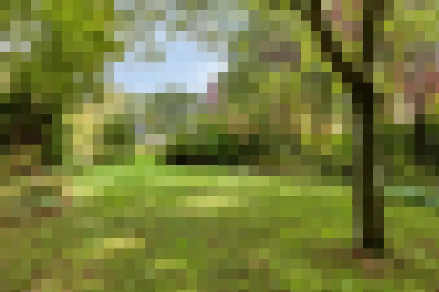 Dijkzicht 1 Noordgouwe thumbnail 6