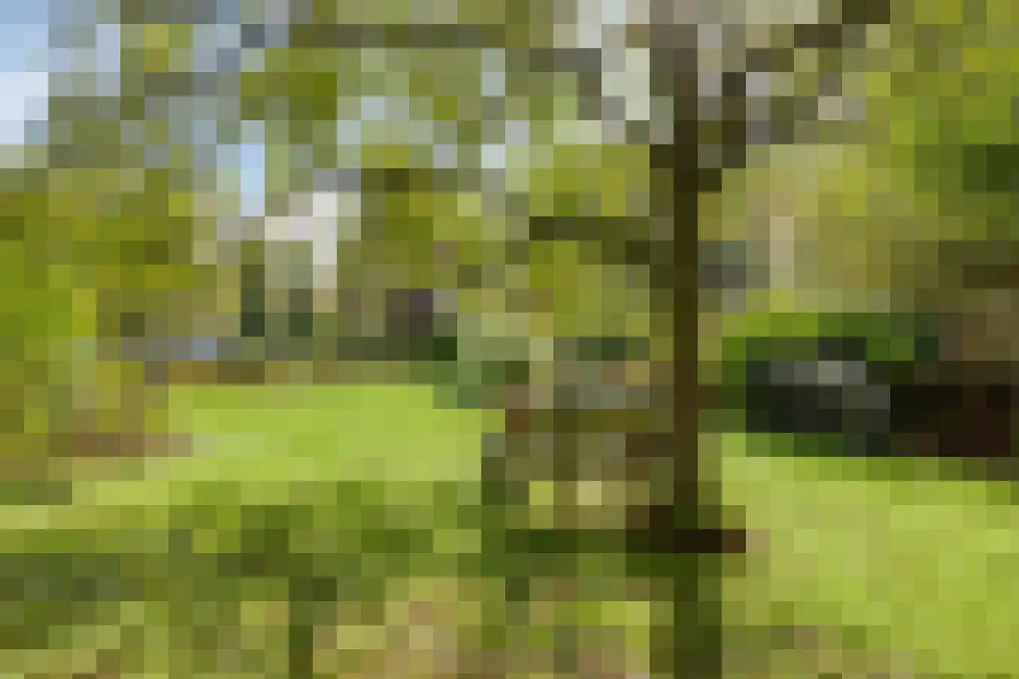 Dijkzicht 1 Noordgouwe thumbnail 7