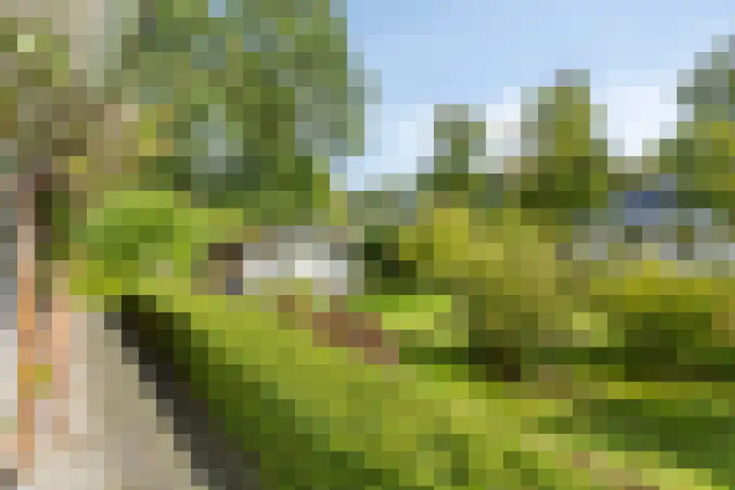 Dijkzicht 1 Noordgouwe thumbnail 9