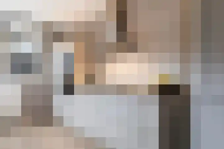 Dijkzicht 21 Wijhe thumbnail 14