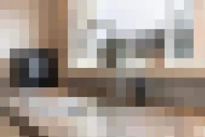 Dijkzicht 21 Wijhe thumbnail 16
