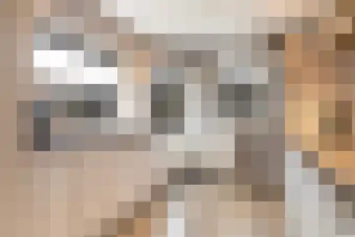 Dijkzicht 21 Wijhe thumbnail 17